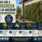 Best Vines For A Greenscreen Trellis In Arizona